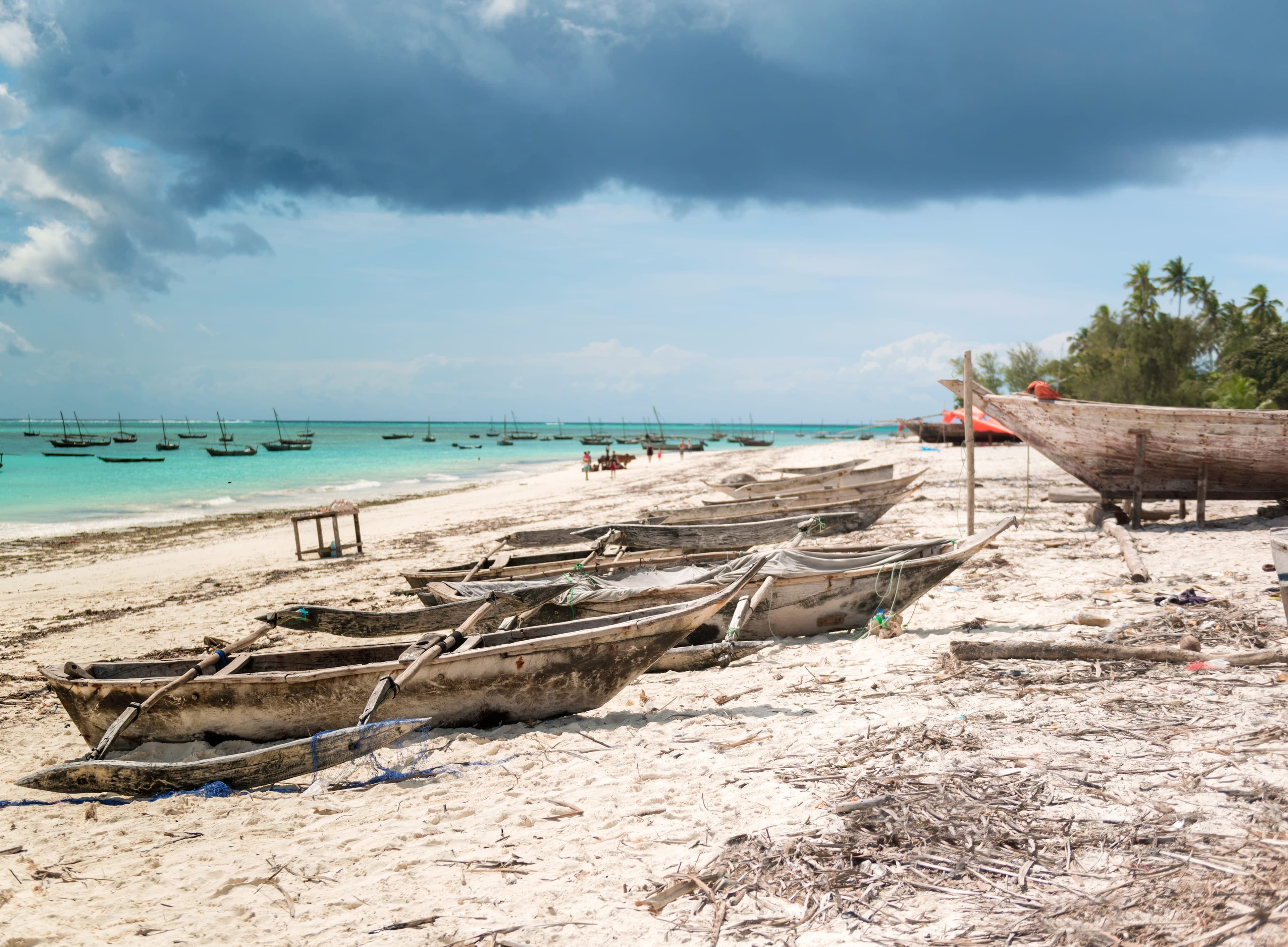 Traditional boats on the Zanzibar coastline